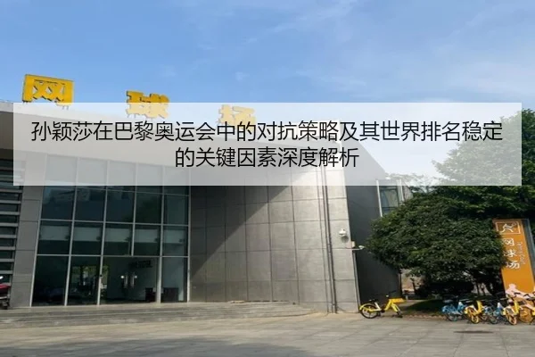 孙颖莎在巴黎奥运会中的对抗策略及其世界排名稳定的关键因素深度解析